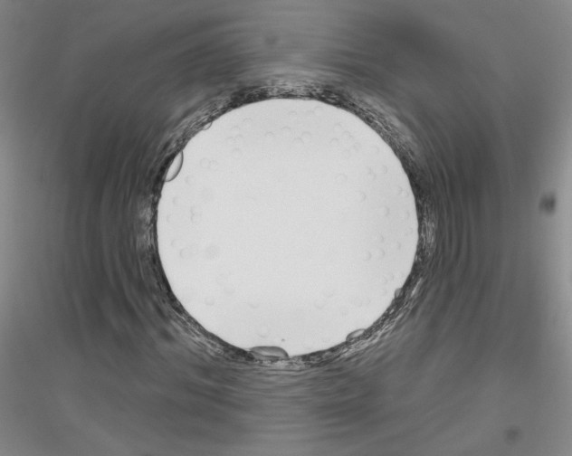X0000116850964201002021042