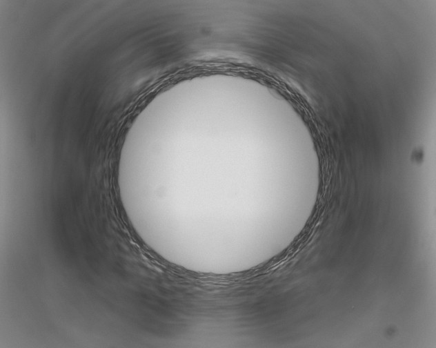 X0000116850965201002021042