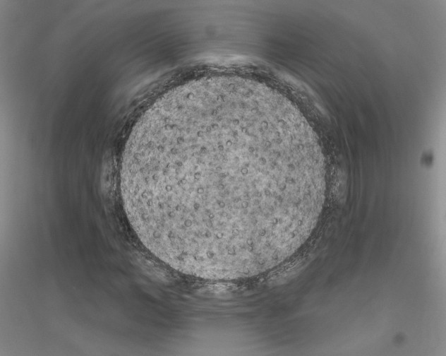 X0000116850966201002021042