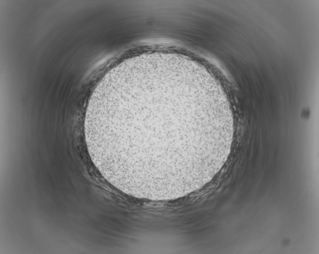 X0000116850967201002021042