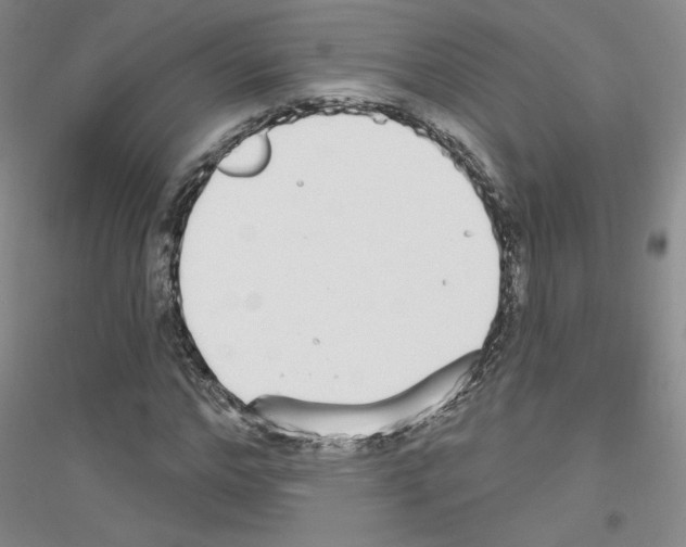 X0000116850968201002021042