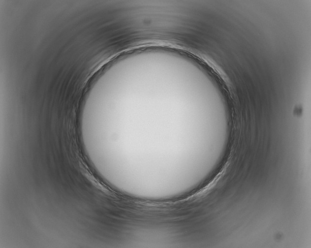 X0000116850969201002021042