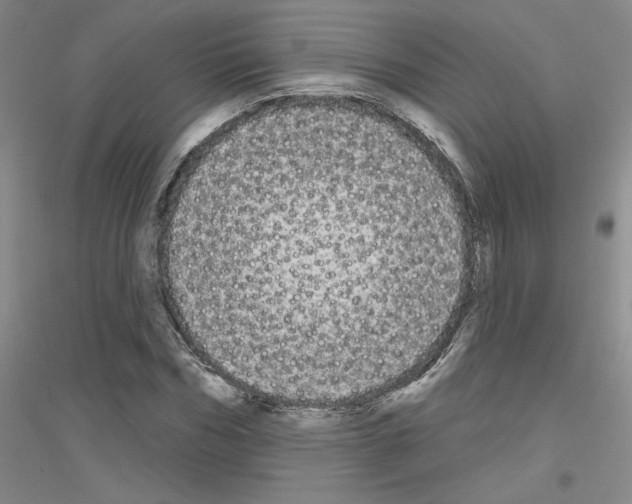 X0000116850970201002021042