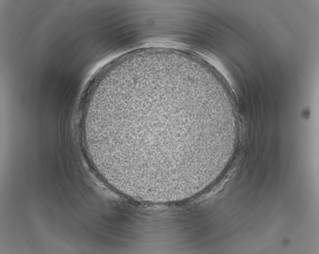 X0000116850971201002021042