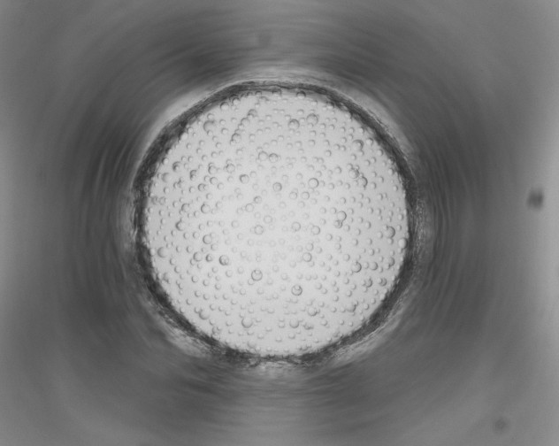 X0000116850974201002021042