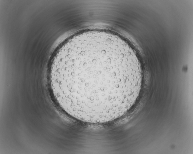 X0000116850978201002021042
