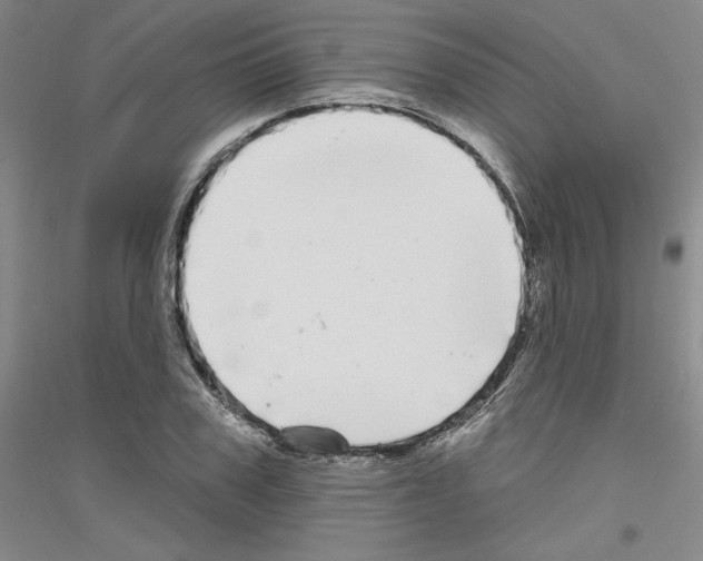 X0000116850979201002021042