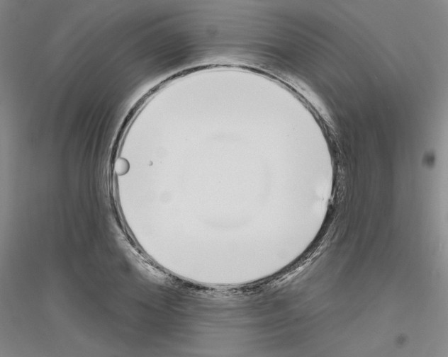 X0000116850980201002021042