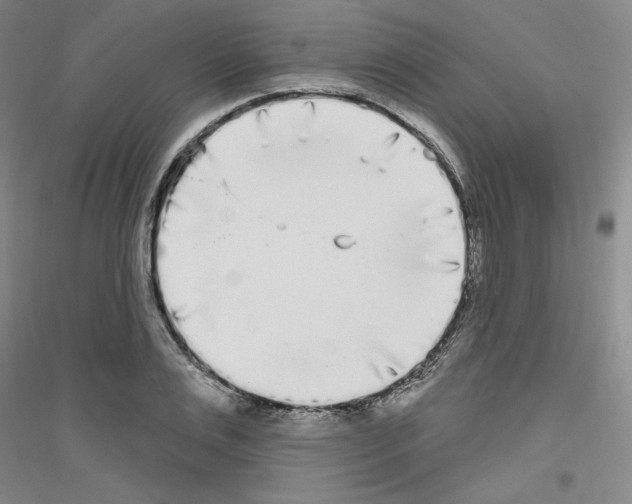 X0000116850983201002021042