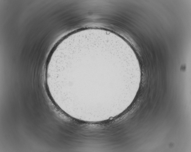 X0000116850984201002021042