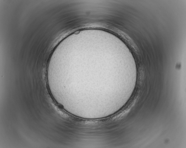 X0000116850985201002021042