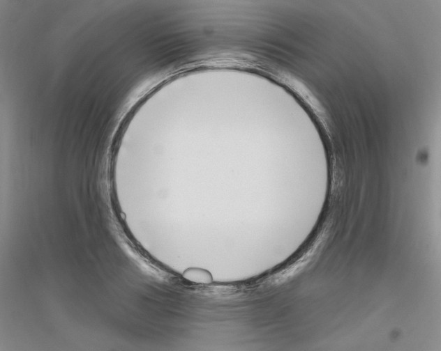 X0000116850986201002021041