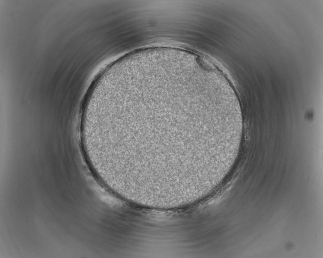X0000116850987201002021041
