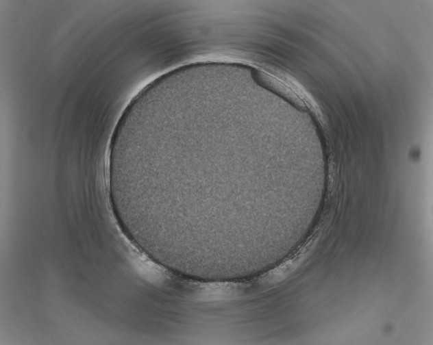 X0000116850988201002021041