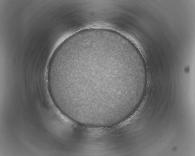 X0000116850990201002021041