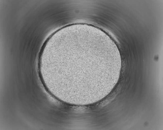 X0000116850991201002021041