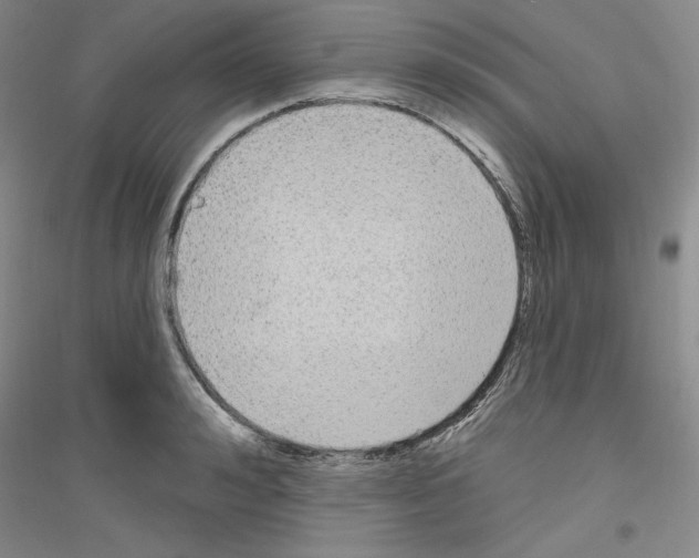 X0000116850992201002021041
