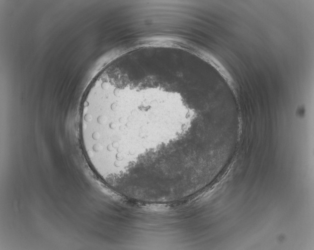 X0000116850994201002021041