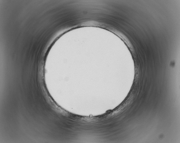 X0000116851000201002021041