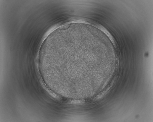 X0000116851002201002021041