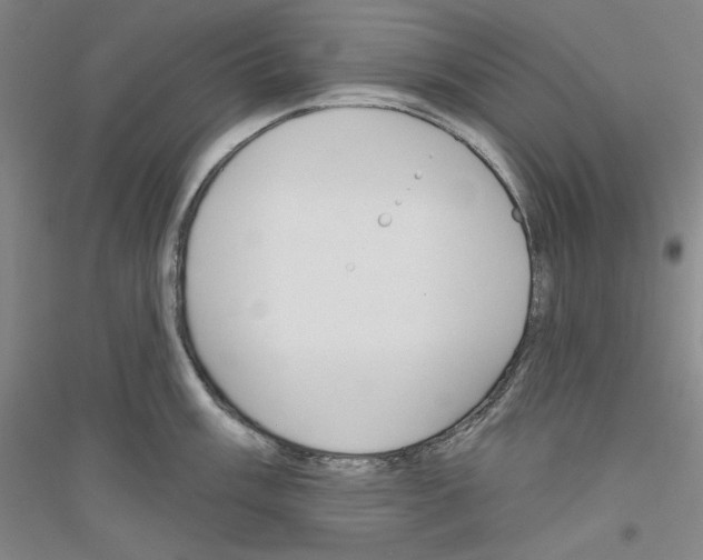 X0000116851003201002021041