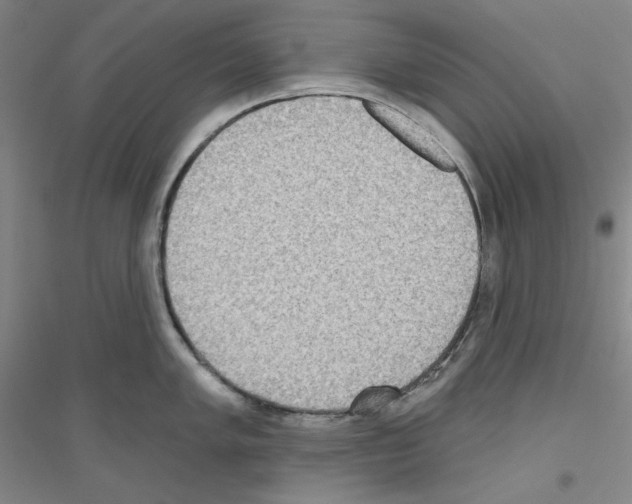 X0000116851005201002021041