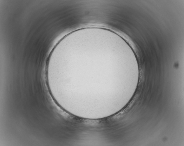 X0000116851006201002021041