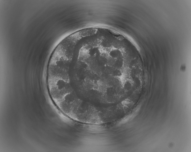 X0000116851007201002021041