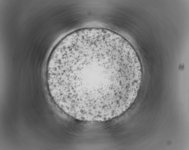 X0000116851008201002021041