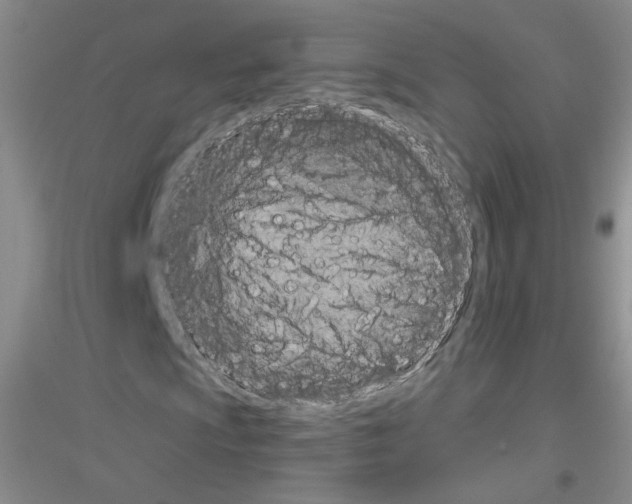 X0000116851009201002021041