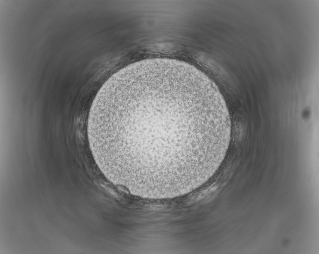 X0000116851010201002021041