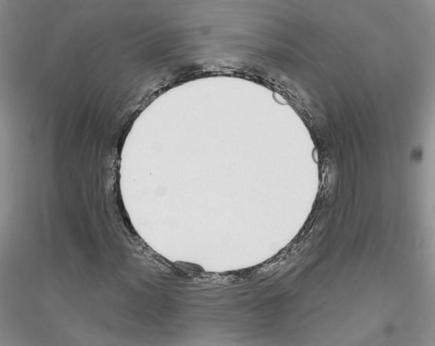 X0000116851012201002021041