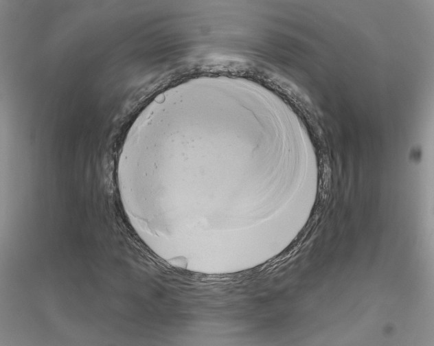 X0000116851013201002021041
