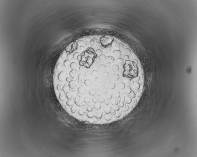 X0000116851014201002021041