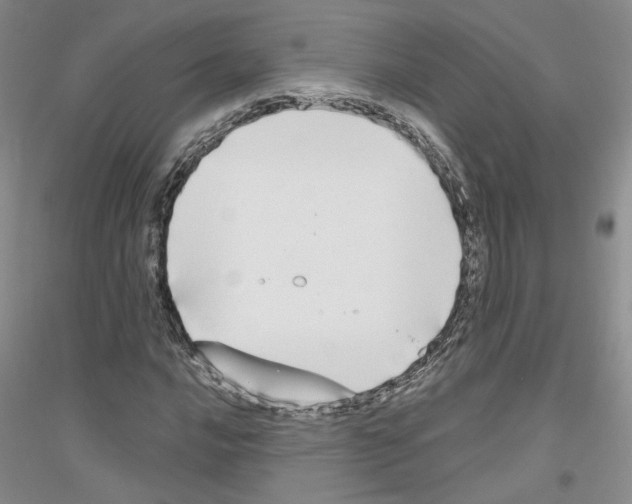 X0000116851016201002021041