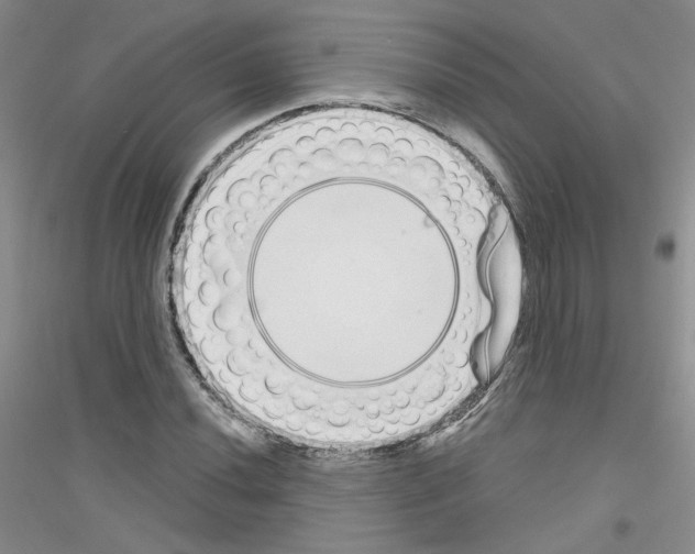 X0000116851020201002021041
