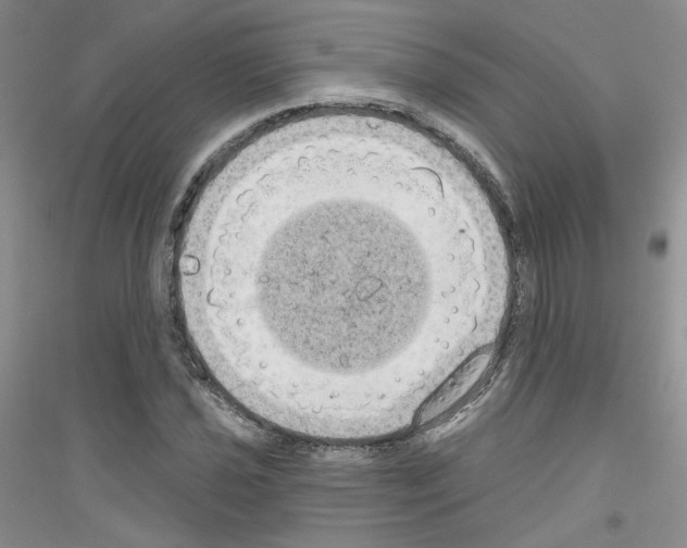 X0000116851021201002021041