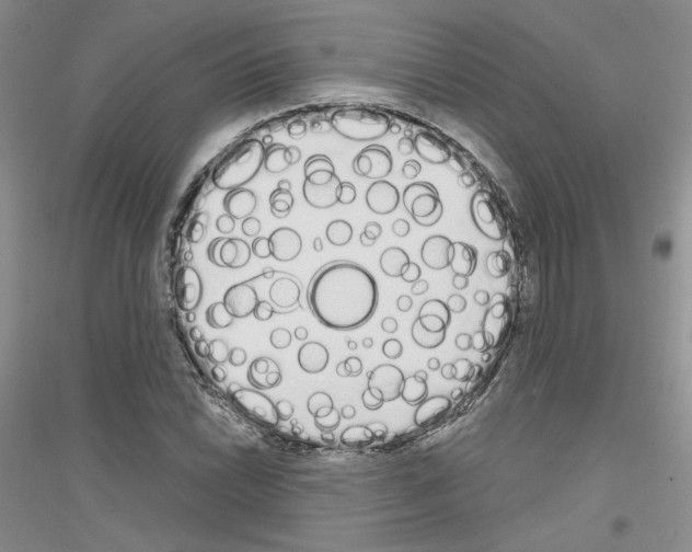 X0000116851022201002021041