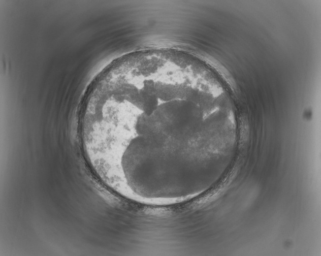 X0000116851023201002021041