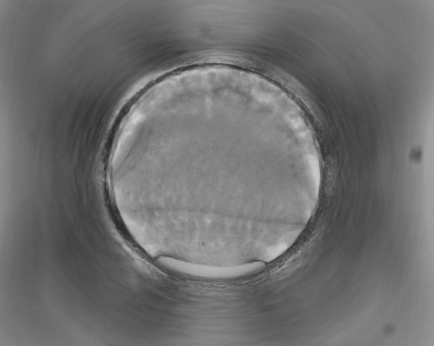 X0000116851024201002021041