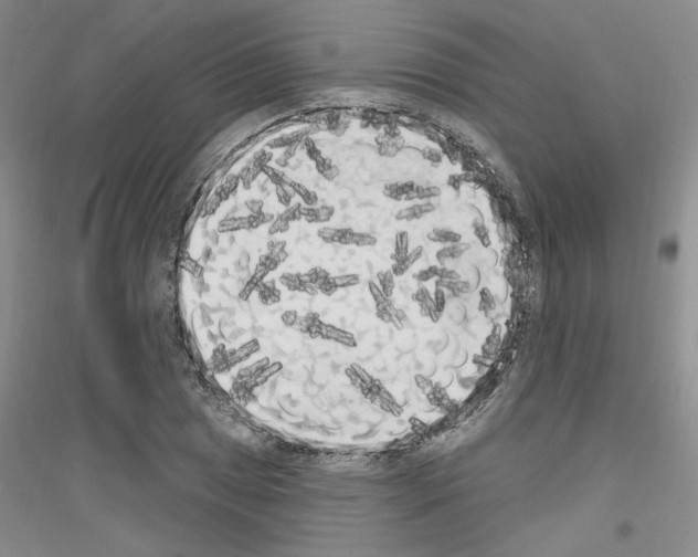 X0000116851025201002021041