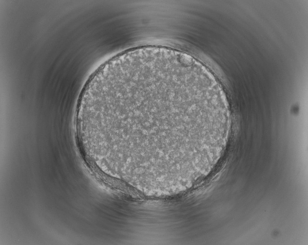 X0000116851028201002021041