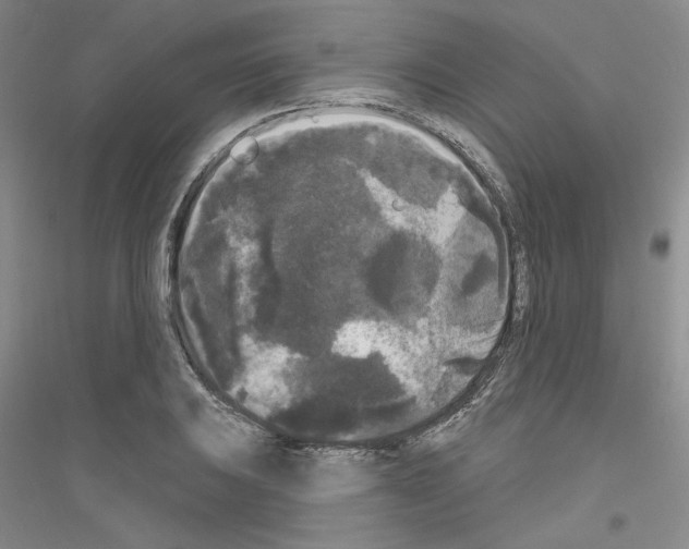 X0000116851031201002021041