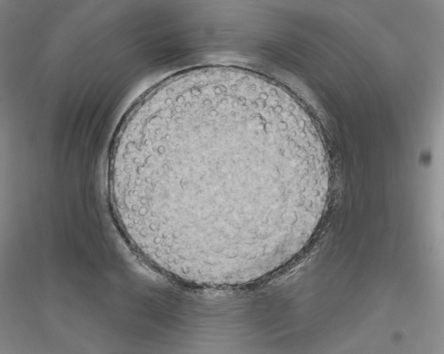 X0000116851032201002021041