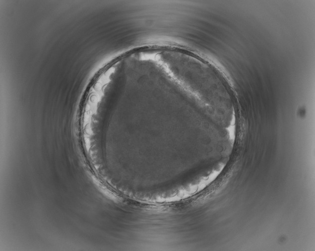 X0000116851037201002021041