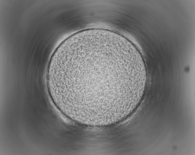 X0000116851040201002021041