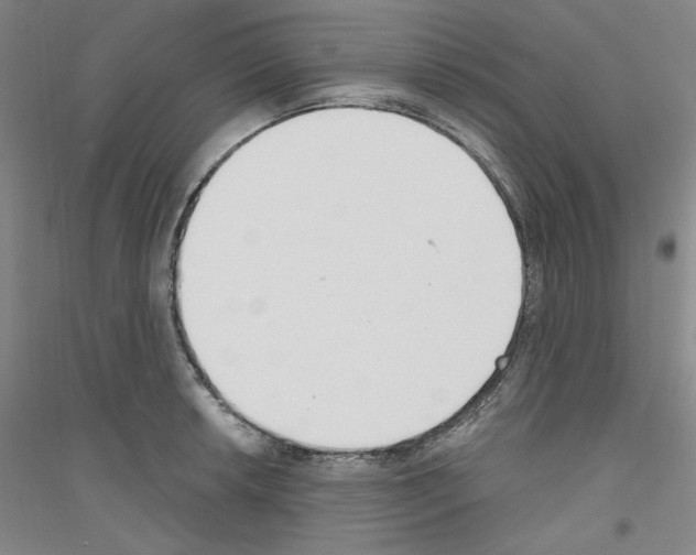 X0000116851042201002021041