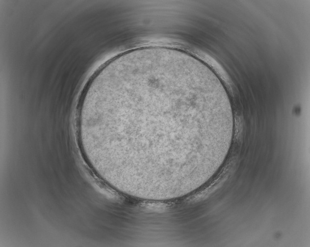 X0000116851043201002021041
