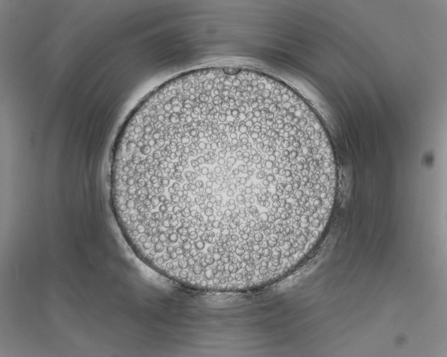 X0000116851046201002021041