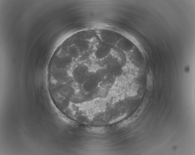 X0000116851047201002021041
